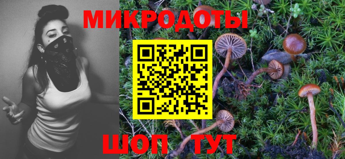 Асино  Псилоцибиновые грибы Psilocybine cubensis  Галлюциногенные грибы мицелий  Вход с VPN 