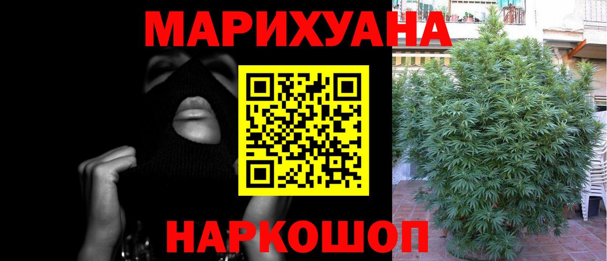 Каннабис индика  Вход с VPN  Каннабис сатива  Асино  Конопля MAZAR  МАРИХУАНА White Widow 